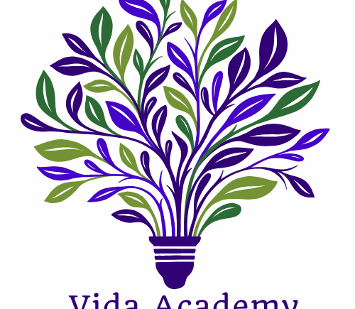 Vida Academy 